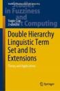 Double Hierarchy Linguistic Term Set And Its Extensions - Preview