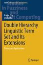 Double Hierarchy Linguistic Term Set And Its Extensions - Preview
