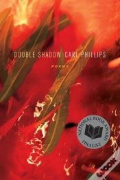 Capa do artigo Double Shadow