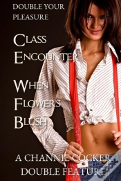 Capa do artigo Double Your Pleasure