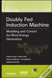 Capa do artigo Doubly Fed Induction Machine