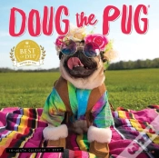 Capa do artigo Doug The Pug Mini