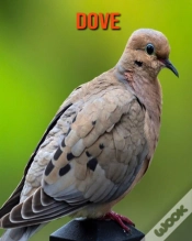 Capa do artigo Dove