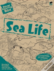 Dover Coloring Box -- Sea Life