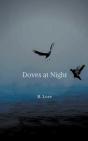 Doves At Night - Preview