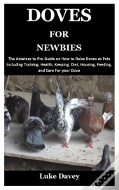 Doves For Newbies
