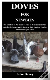Capa do artigo Doves For Newbies