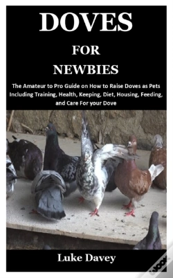 Capa do artigo Doves For Newbies