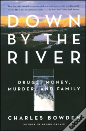 Capa do artigo Down By The River