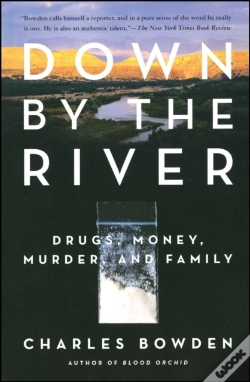 Capa do artigo Down By The River