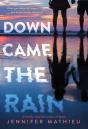 Down Came The Rain - Preview
