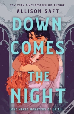 Capa do artigo Down Comes The Night