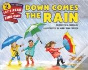 Capa do artigo Down Comes The Rain