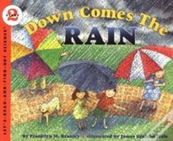 Capa do artigo Down Comes The Rain