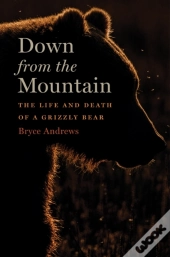 Down From The Mountain