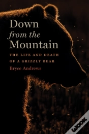 Capa do artigo Down From The Mountain