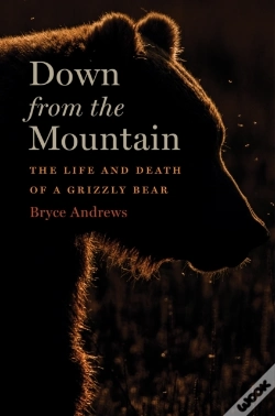 Capa do artigo Down From The Mountain