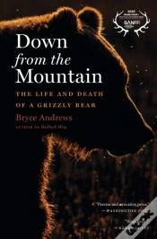 Capa do artigo Down From The Mountain
