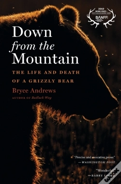 Capa do artigo Down From The Mountain
