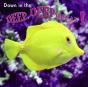 Down In The Deep, Deep, Ocean! - Preview