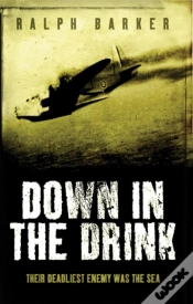 Capa do artigo Down In The Drink