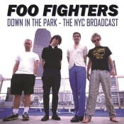 Capa do artigo Down in the Park - Vinil