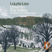 Capa do artigo Down In The Valley