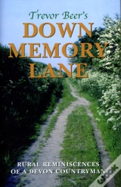 Capa do artigo Down Memory Lane