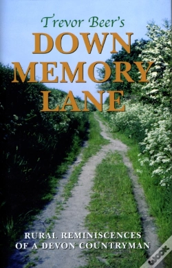 Capa do artigo Down Memory Lane