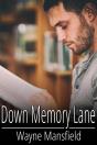 Down Memory Lane - Preview