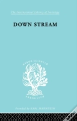 Capa do artigo Down Stream
