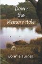 Down The Memory Hole - Preview