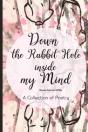Down The Rabbit Hole Inside My Mind - Preview