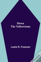 Capa do artigo Down The Yellowstone
