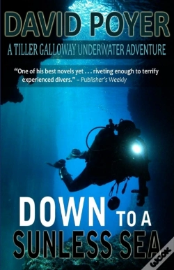 Capa do artigo Down To A Sunless Sea