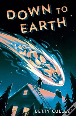 Capa do artigo Down To Earth
