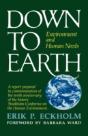 Down To Earth - Preview