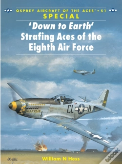 Capa do artigo Down To Earth' Strafing Aces Of The Eighth Air Force