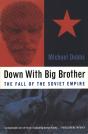 Down With Big Brother - Preview