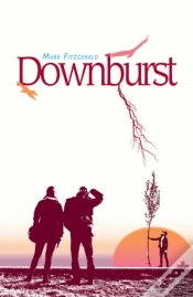 Capa do artigo Downburst