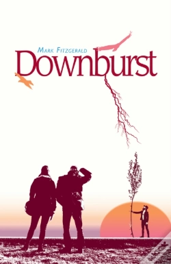 Capa do artigo Downburst