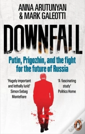 Capa do artigo Downfall