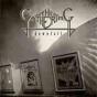Downfall - CD - Preview