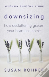 Capa do artigo Downsizing