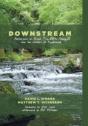 Downstream - Preview