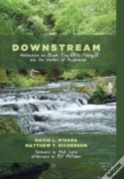 Capa do artigo Downstream