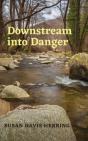 Downstream Into Danger - Preview