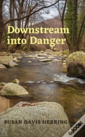 Capa do artigo Downstream Into Danger