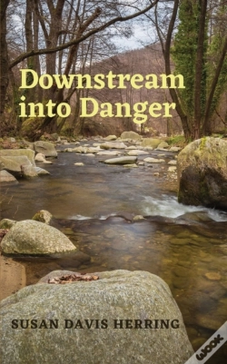 Capa do artigo Downstream Into Danger