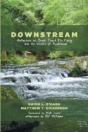 Downstream - Preview